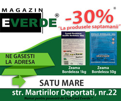 '' OFERTA SAPTAMANII