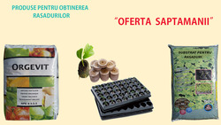 '' OFERTA SAPTAMANII 