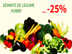 '' OFERTA SAPTAMANII
