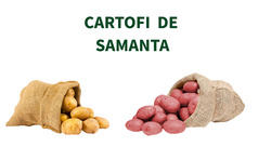 Oferta saptamanii 